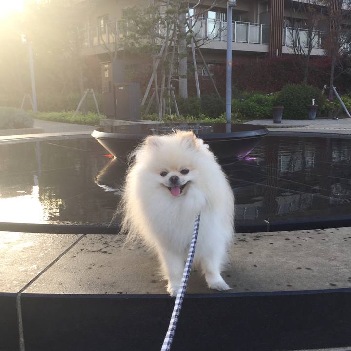 Eac69246 eb38 4053 baf5 4207a4f87494 1524344490889