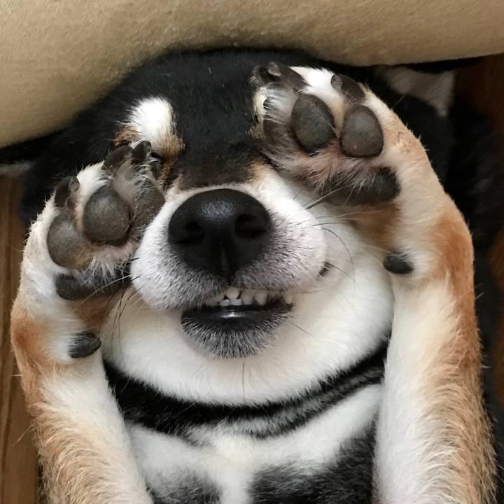 Eac6a9d8 fd34 4bcd 8a5e 14ef83300094 1511326952957