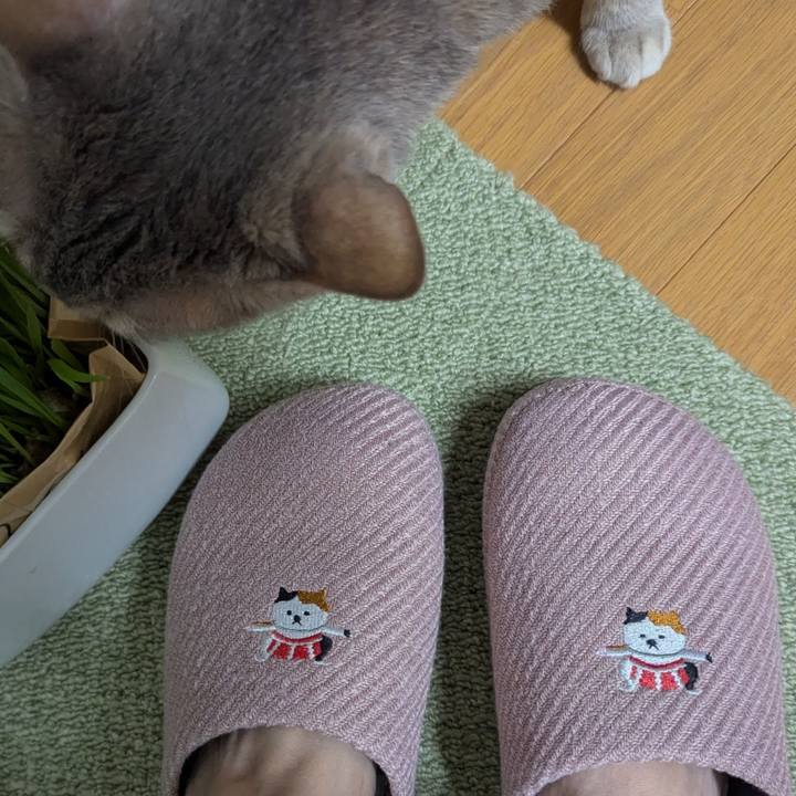 Eac6c6ec ebe6 4a78 9f64 36a7f4557b69 1772273838197