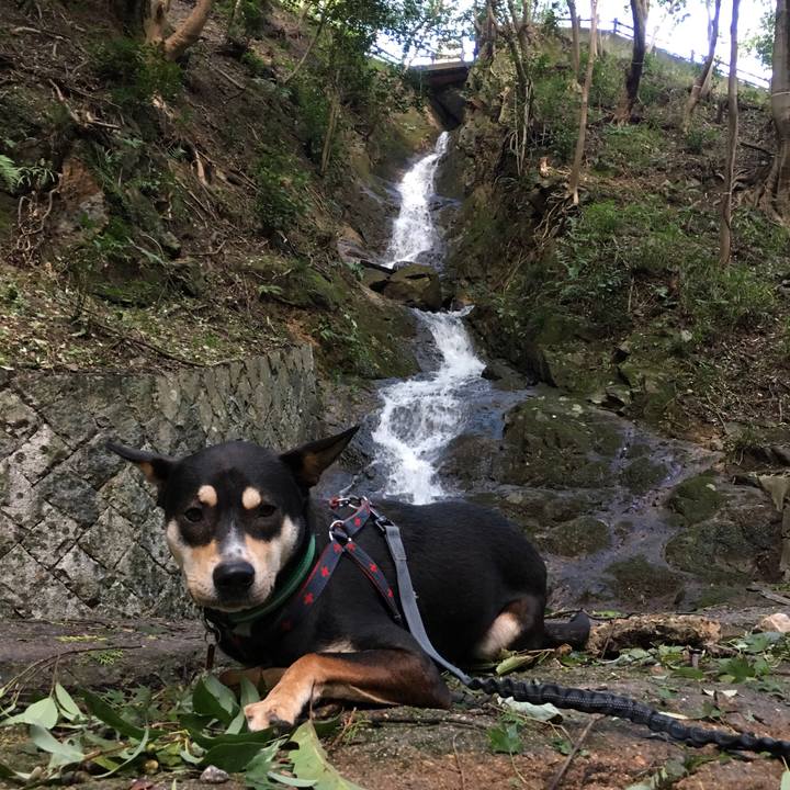 Eac70645 ae86 480f 8014 4996031942a2 1508910377413