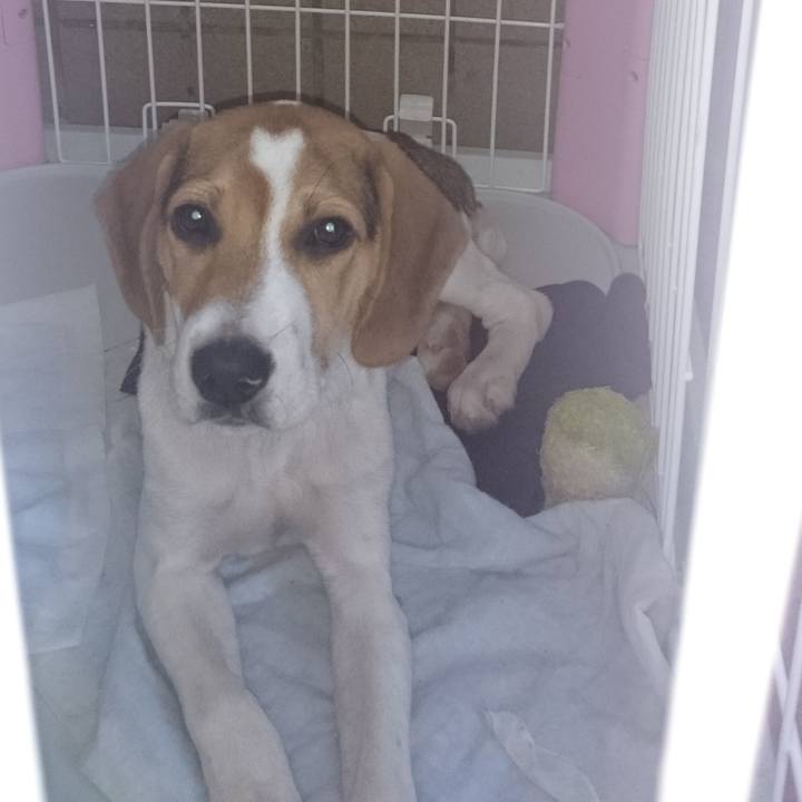 Eac7ccdd 9879 448f b32a f1cea6793a6b 1701089345726