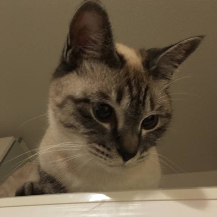 Eac7fc6d 5658 4b90 8952 da5094f71a71 1559798938592