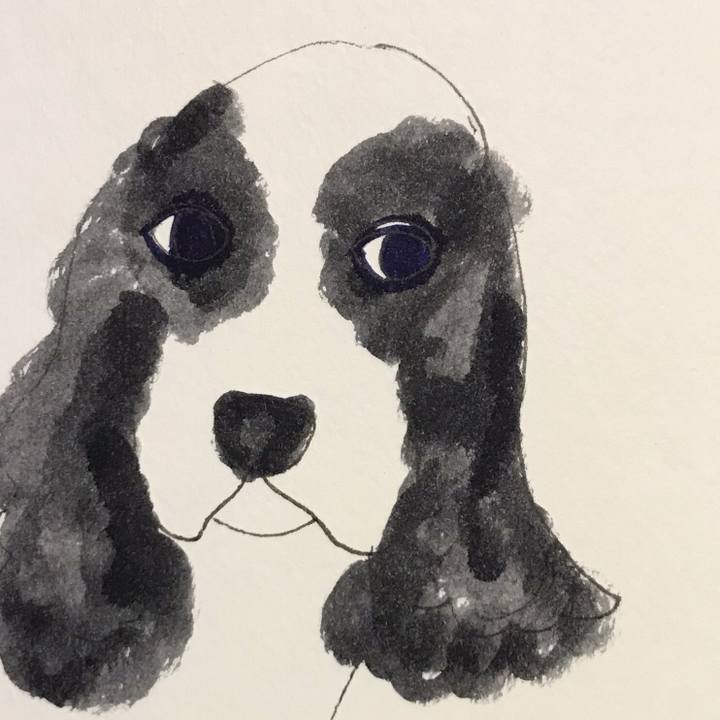 Eac80c47 0f76 4f22 8c02 f569580249c9 1564153859957