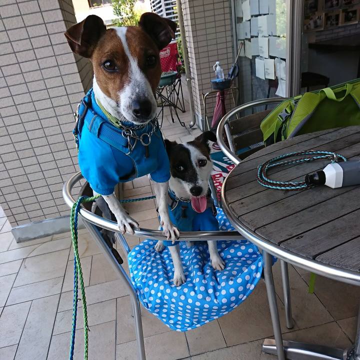 Eac850dd 345a 42ca 90d4 92fc694f27e0 1589439453613