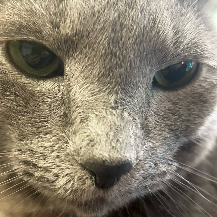 Eac8a79d a286 447f 9681 37f11ab9960a 1743250540086