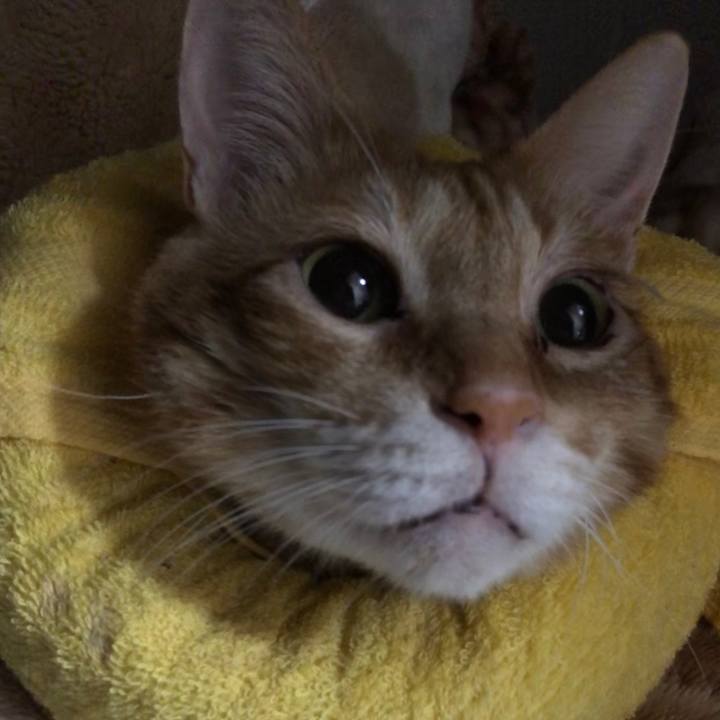 Eac8a8e1 96fd 43e9 9800 9923c70f8865 1600781401556