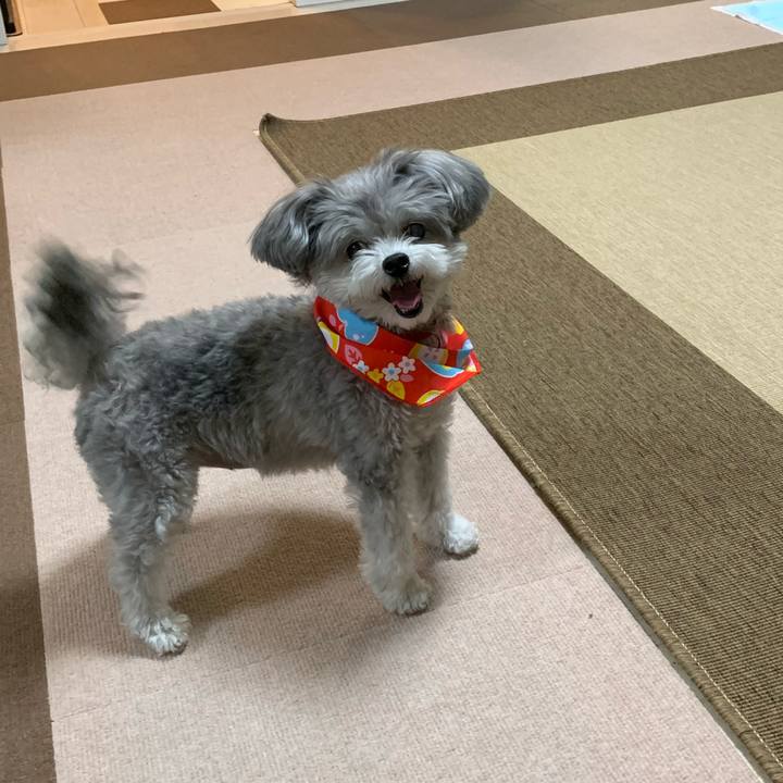 Eac8e50f 9f91 42ba 9f68 05e1db377a14 1621400551134