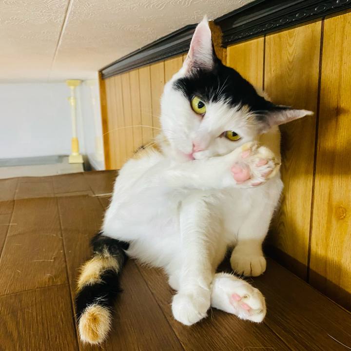 Eac8f564 da82 4534 a7d3 dfb535d71336 1661431233392