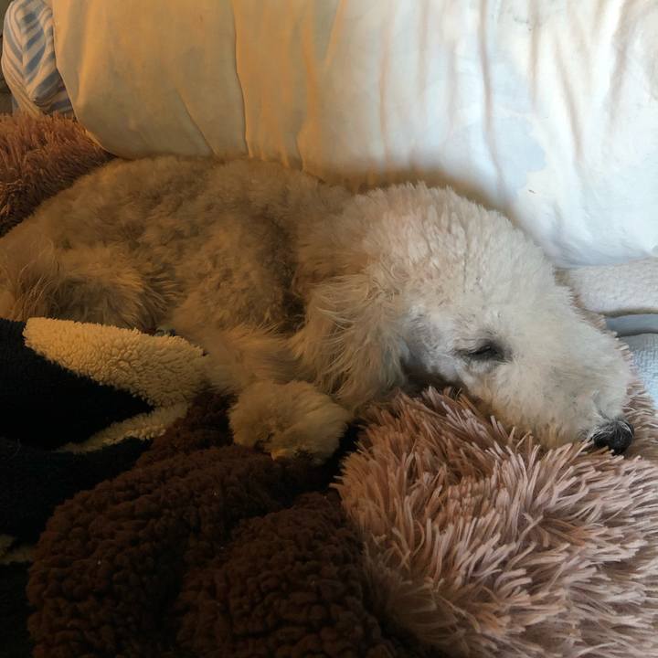 Eac900db 0fda 4c09 ac66 395ab21ce8ea 1582435079392