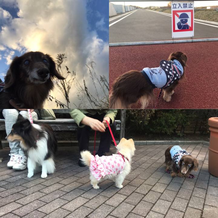 Eac912f2 bd38 40c0 8b86 a2bb7aaef0a3 1580372069551