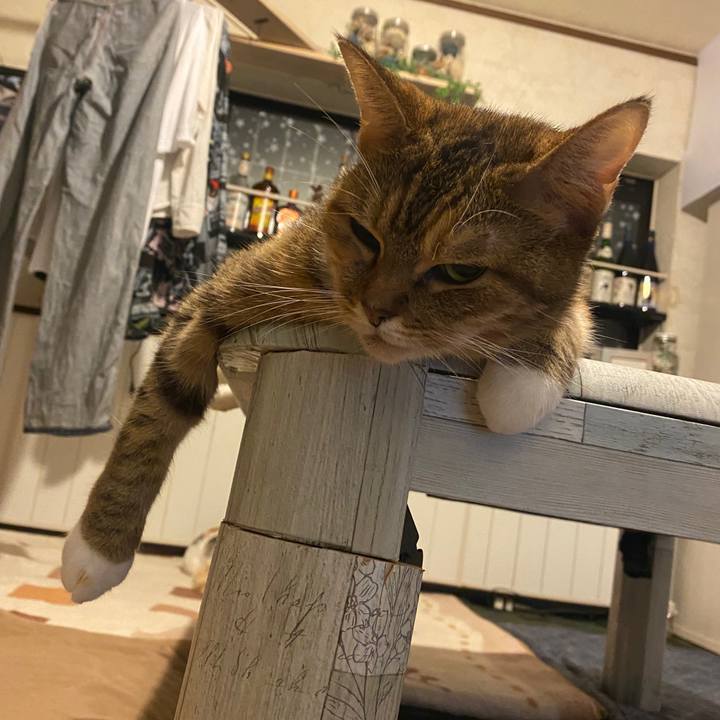 Eac94360 1d83 4ce1 b93b 564dbb01699f 1601819806398