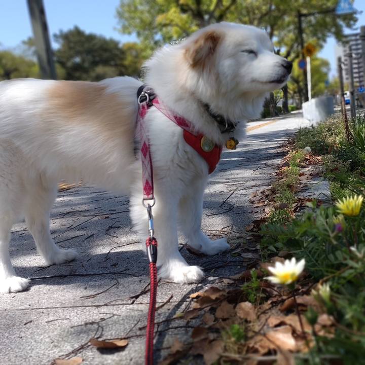 Eac95435 c4f1 498a a561 9857e46ae130 1650160716023