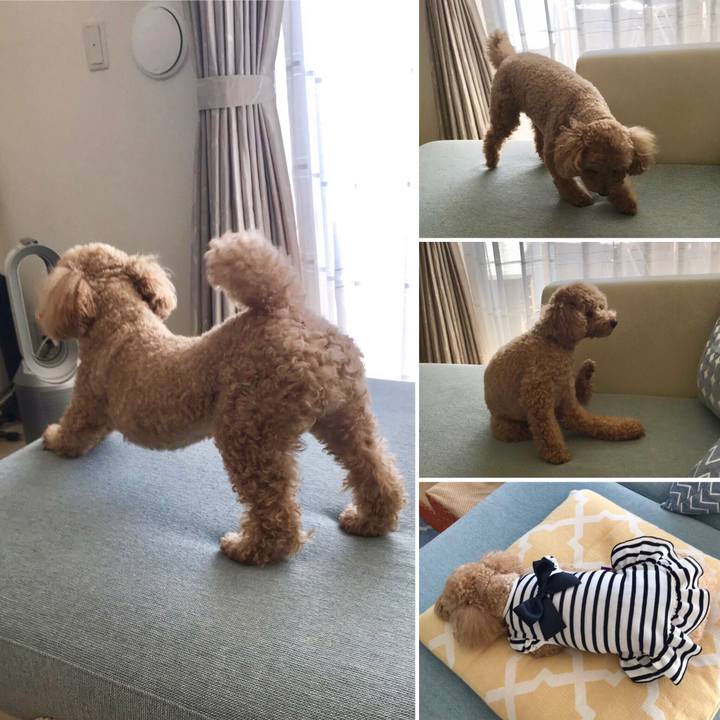 Eac955b5 f3fb 4759 8890 7e8412b55a42 1561450568772