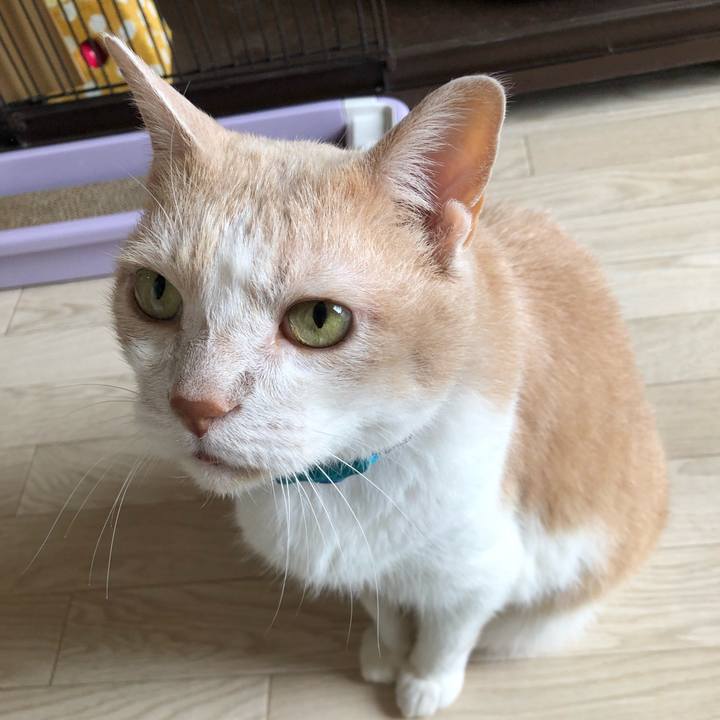 Eac96e20 dadd 4a68 9591 0c376caf1af8 1625359071012