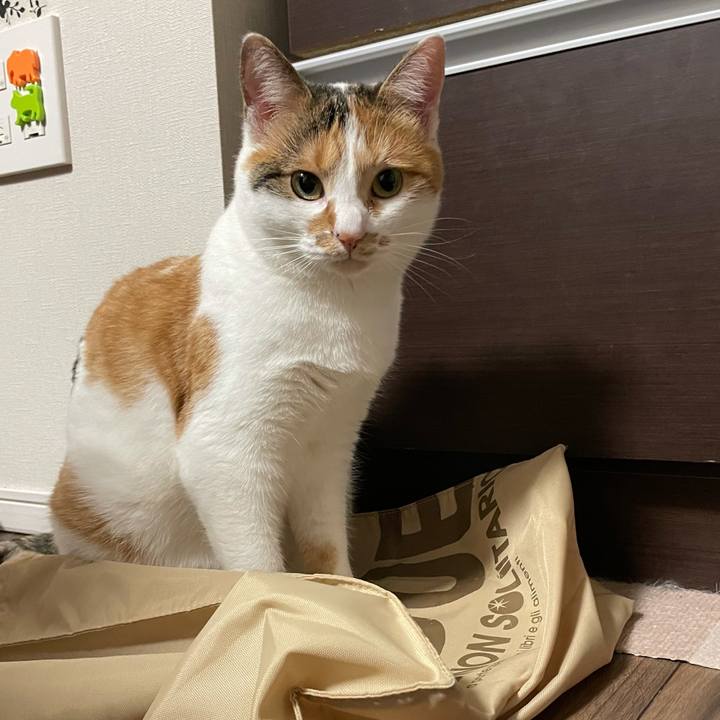 Eac9c7e0 d8fd 486d befa fa534313d274 1606746203429