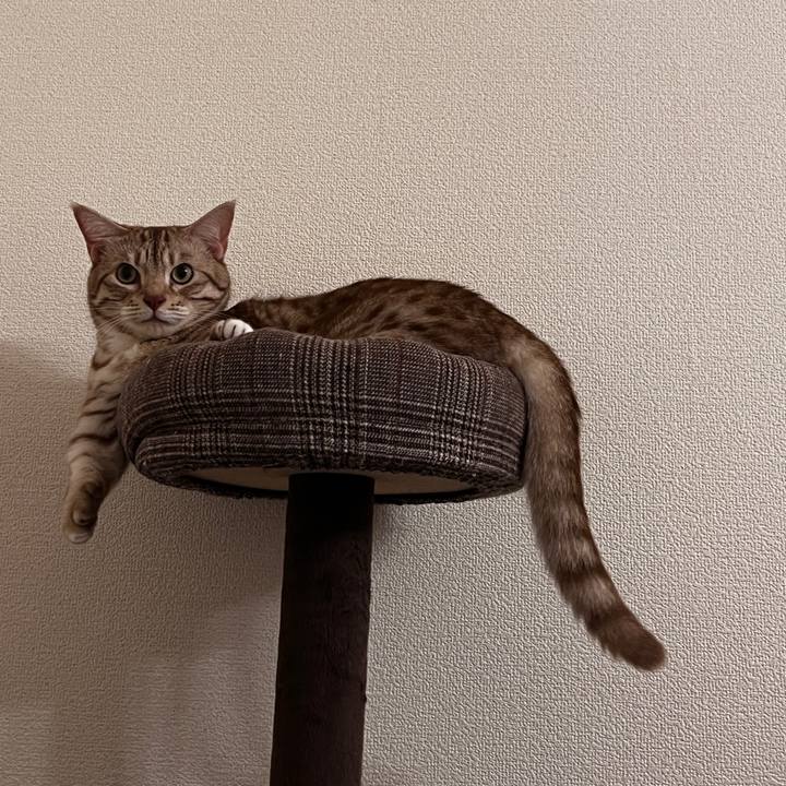 Eac9f7c5 2f94 44e7 842d 3f8782f67e36 1726323048521