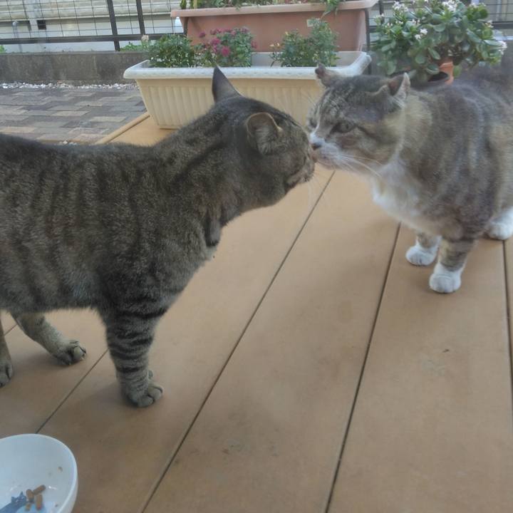 Eaca052b 626c 4b84 94b2 4410a39c21b1 1768913229385