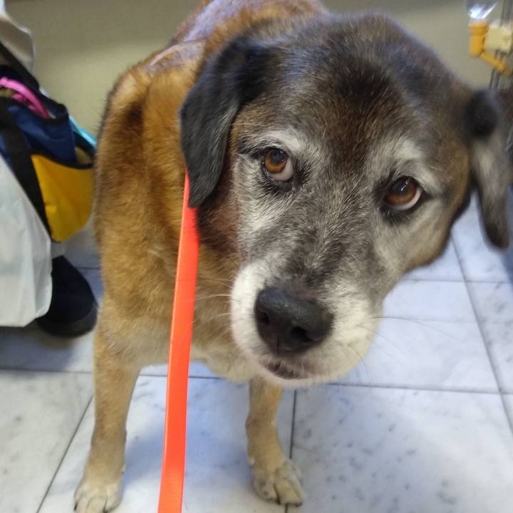 Eaca13e7 0a9a 4103 b195 f1140e8c7faf 1560946528168