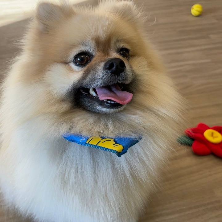 Eaca86c1 2316 40c2 94e8 1bad1f03374f 1709264972569