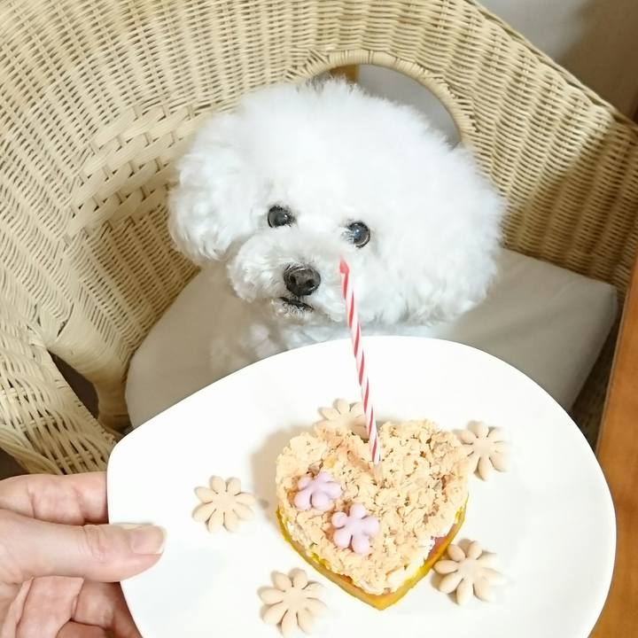 Eacad0f9 f2c1 45f4 adc0 1141dfa2f9b8 1514507764547