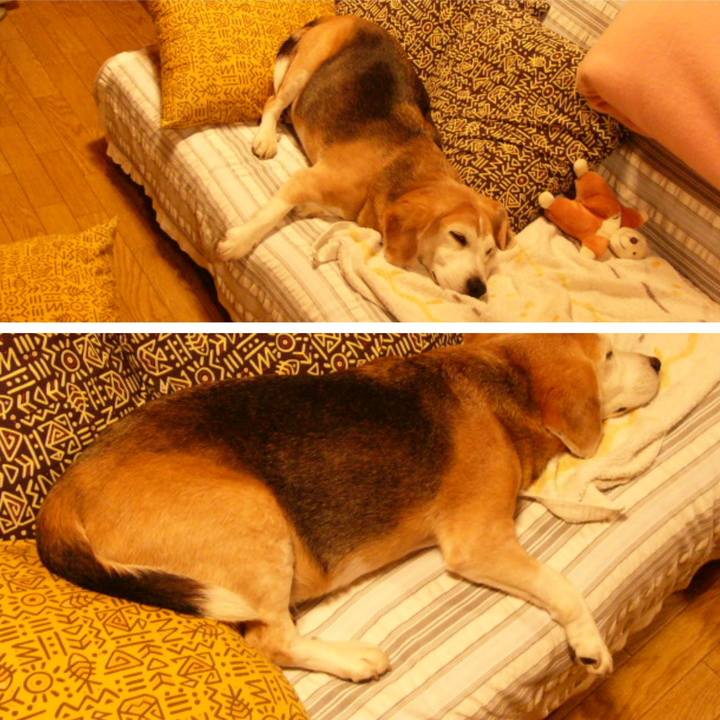 Eacae5c0 4423 44ee bd11 58e9d865bda2 1665192055768