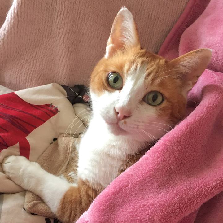 Eacb07c8 8088 4d5e a890 713e64e22b17 1575439812112