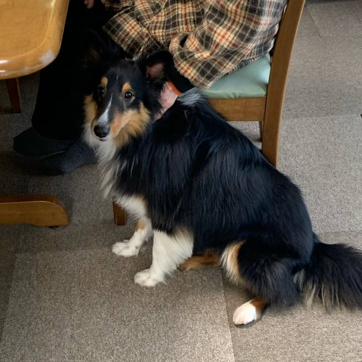 Eacb0d71 24b7 49c9 8409 f58882ead9cc 1580597608703