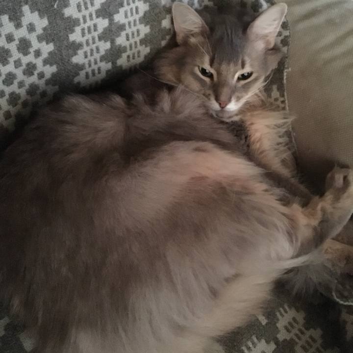 Eacb33f6 c3a0 4b08 aa47 d36af0210214 1510730341092