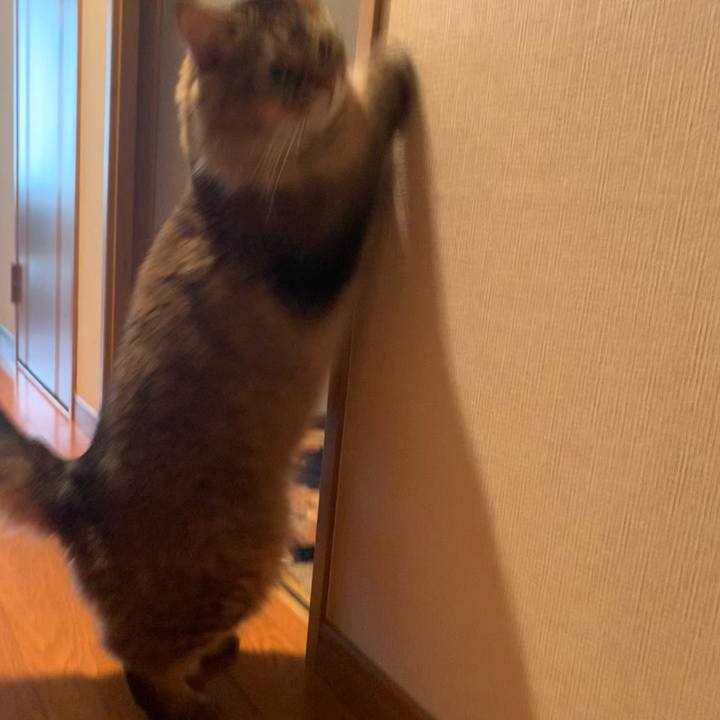 Eacb427c 656d 432b 89db 529b075f888e 1757976052747