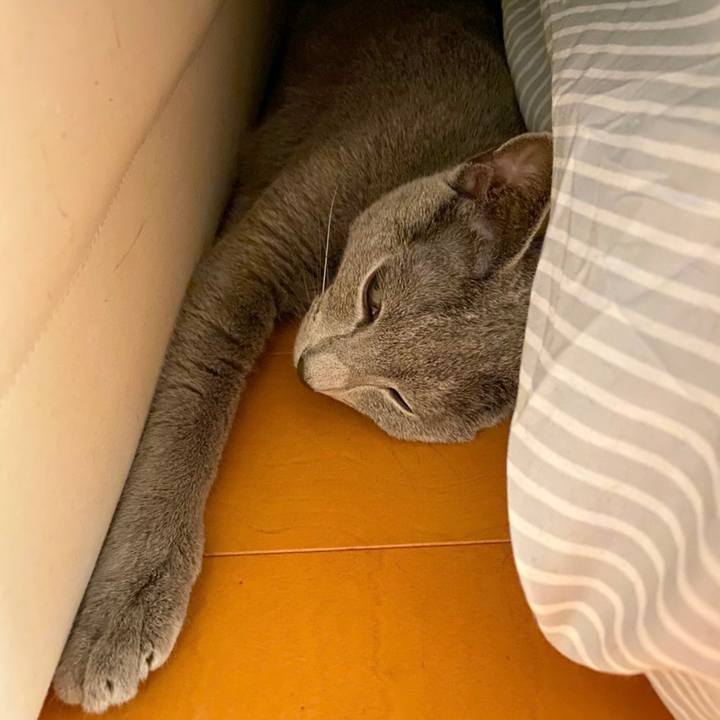 Eacb5be2 1dcf 44c5 97a9 0f2dcfcfa60d 1626004334454