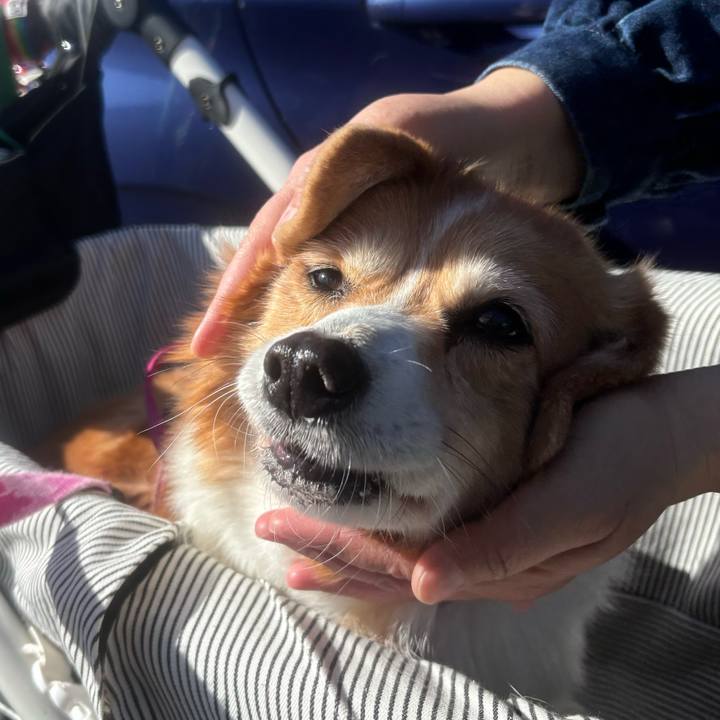 Eacb9875 40b5 4c1e 9ff5 09b34487412b 1737170041423