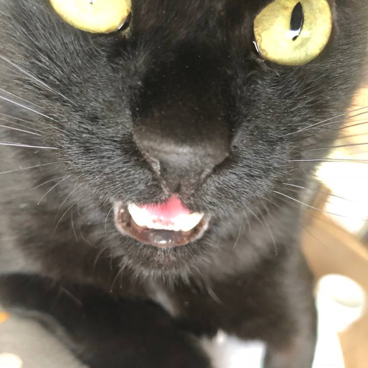 Eacbd843 63e3 4470 9ec8 45e3dec80e29 1532142726947