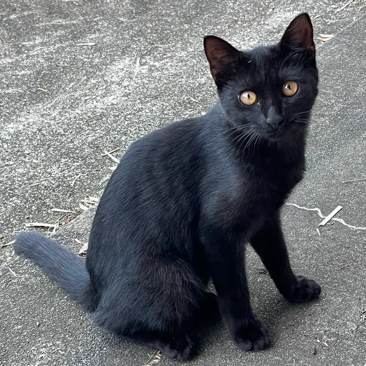 Eacbe5f2 2c10 4446 8193 3d7a53fb76b1 1759354302581