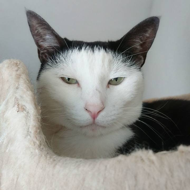 Eacbf681 e7bf 47f0 8eb8 bf61bc3c5e65 1532309935392