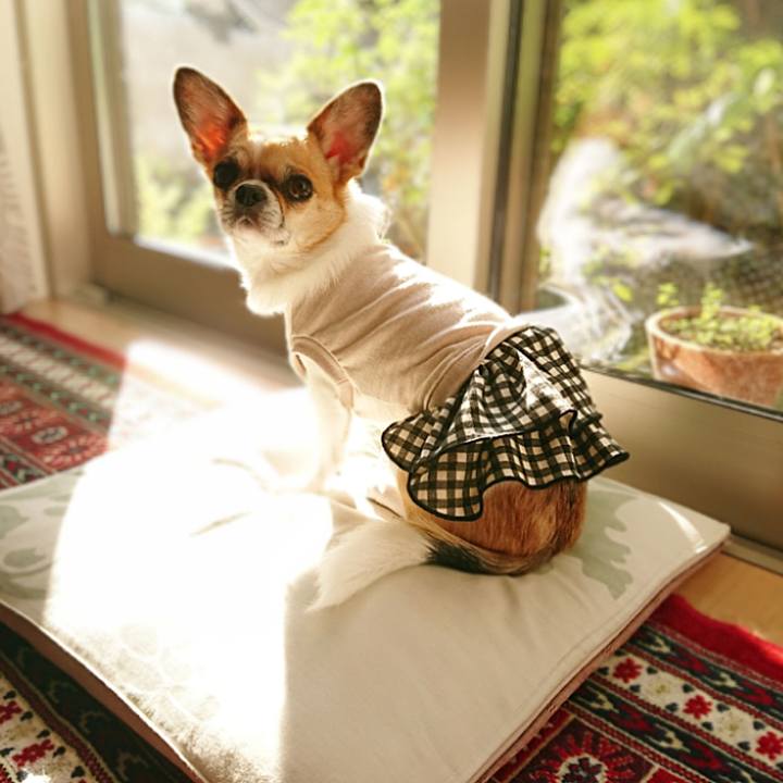 Eacc4650 b1dc 41df b32e bf29cc37b128 1604284082363