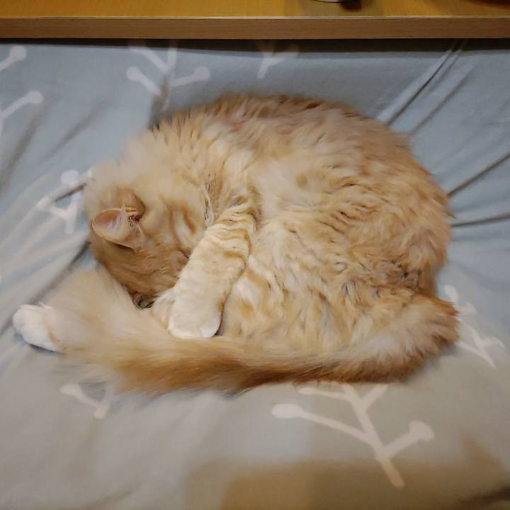 Eacc4e0e c4f7 408f a286 2185de61302b 1669672374362