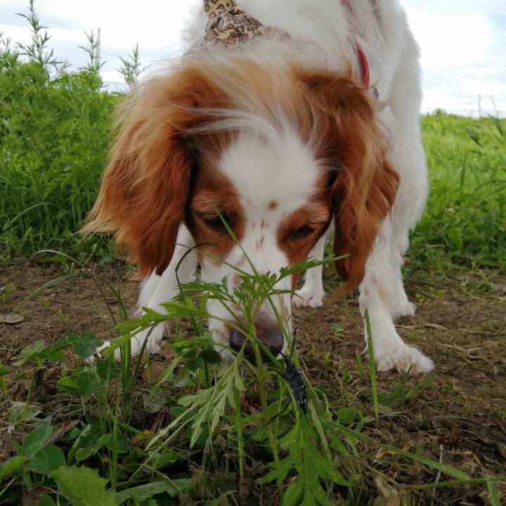 Eacc5edd aa9b 41c3 a90d ceacd7c8d596 1595329266909