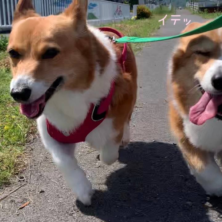 Eacc6a61 360a 4765 a59b 6b016ffdd6b8 1683248580416