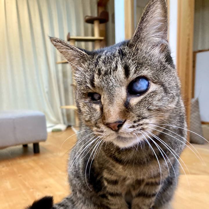 Eacc7e50 5b8b 47b3 925e 8a4efa6adf19 1639827486566