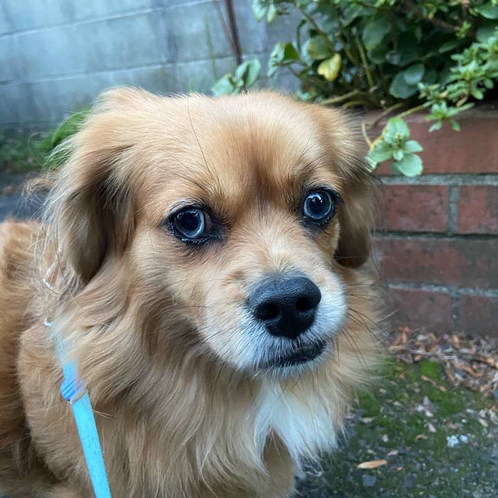 Eacc865f c833 4dc6 95eb cbe6c31ac111 1607034051856