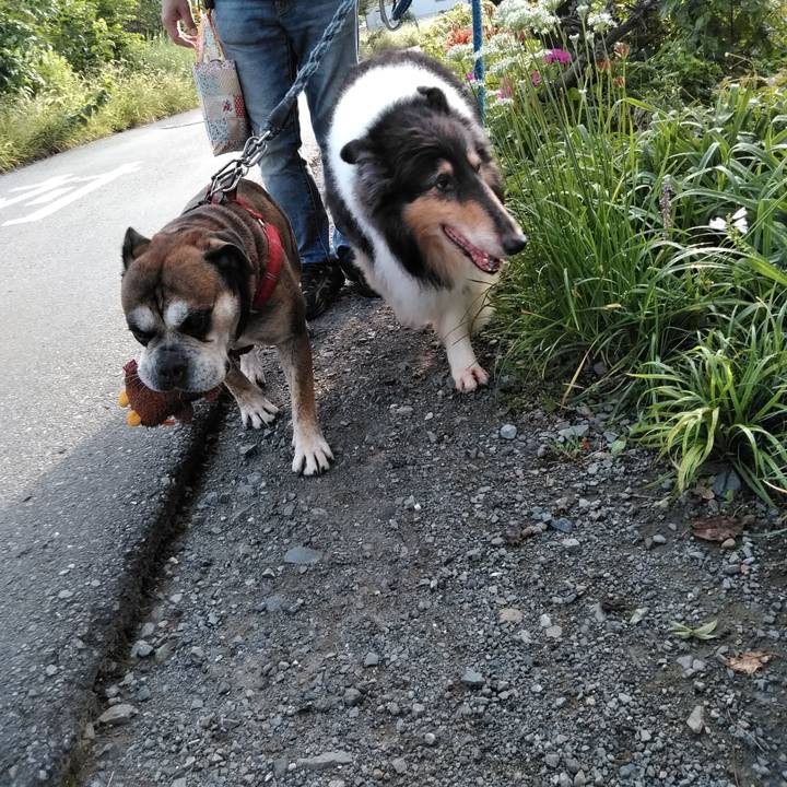 Eacc9197 6603 4fc2 8c50 292564532288 1536940395129