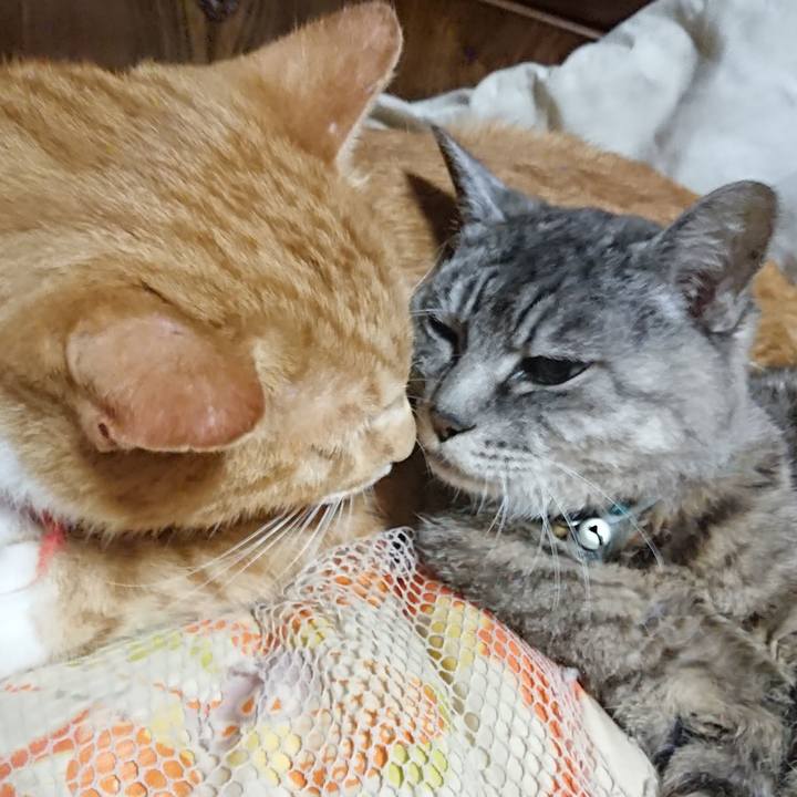 Eacc956e 701a 41b8 bc48 7792bce47ed3 1568728392257