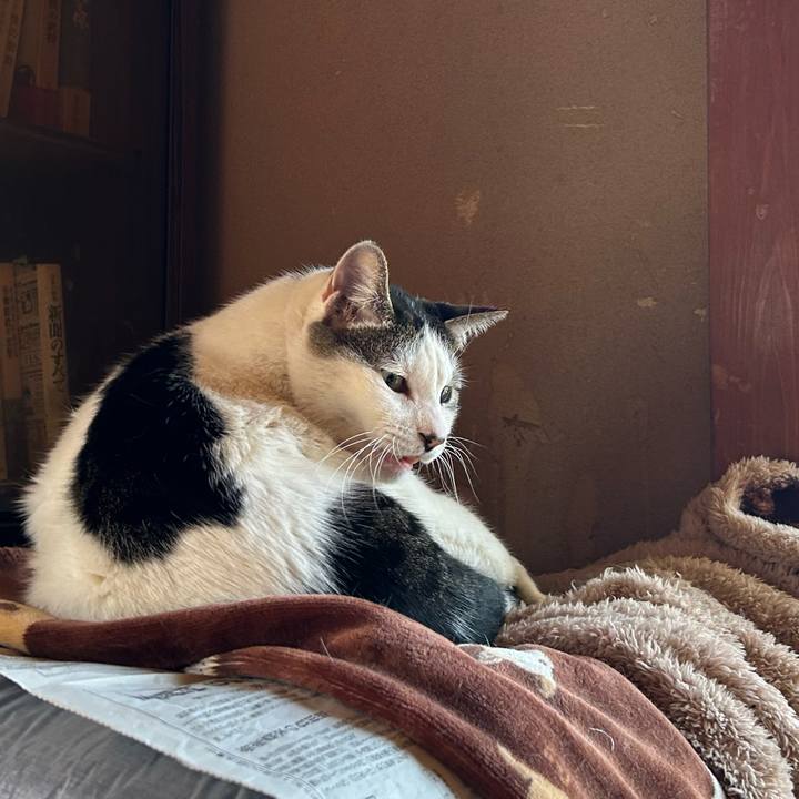 Eacca384 e1fa 4a9c 86f9 f3a90996e89a 1711958225542