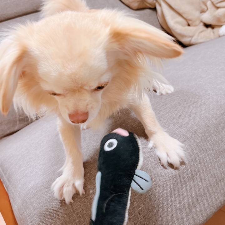 Eacce010 67c7 4fa6 a38b 8cf85904dd46 1653993598038