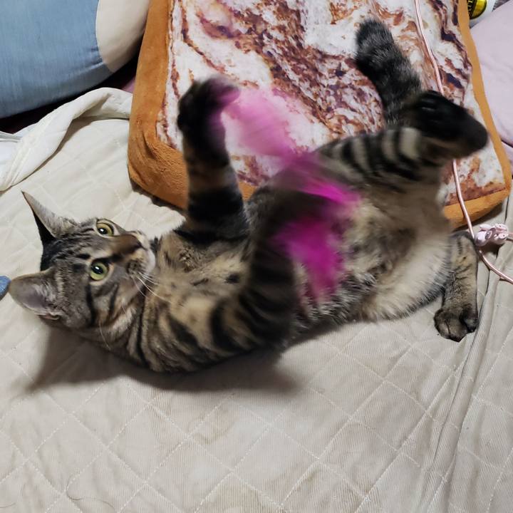 Eacd123a 37f3 48b7 8939 cce8039a06cf 1543374952550