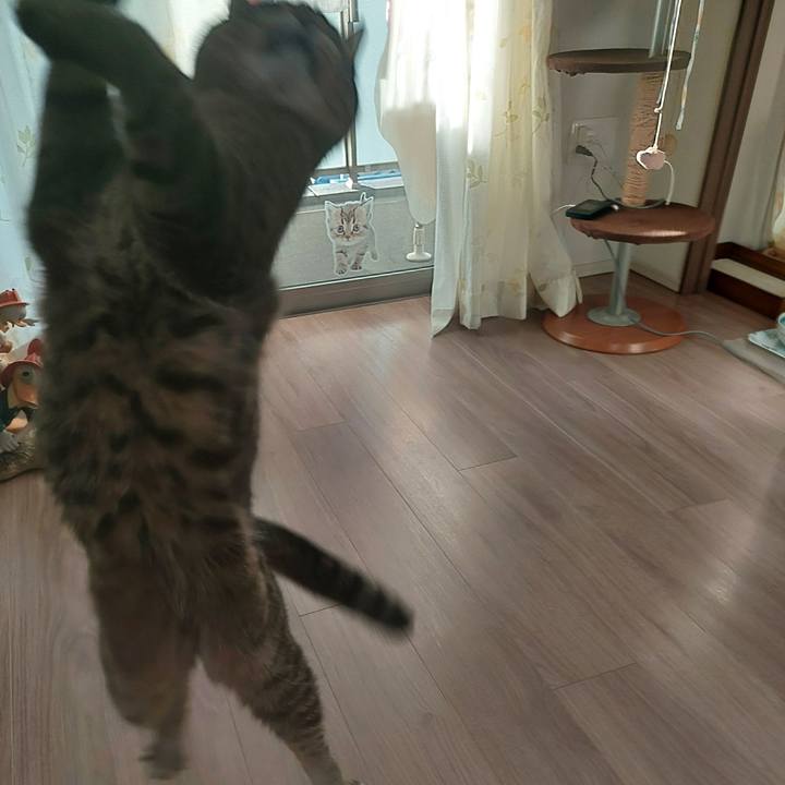 Eacd1b77 e244 4e1f 83ee b39628005689 1733527851605