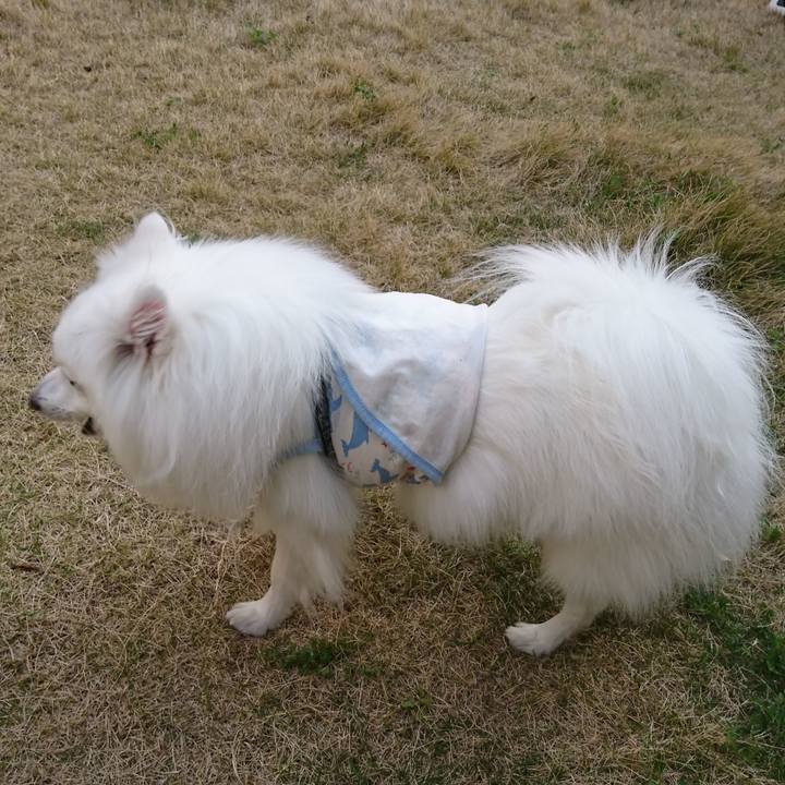 Eacd506e e36c 43ed 9a66 e8150600e1d0 1586940186136