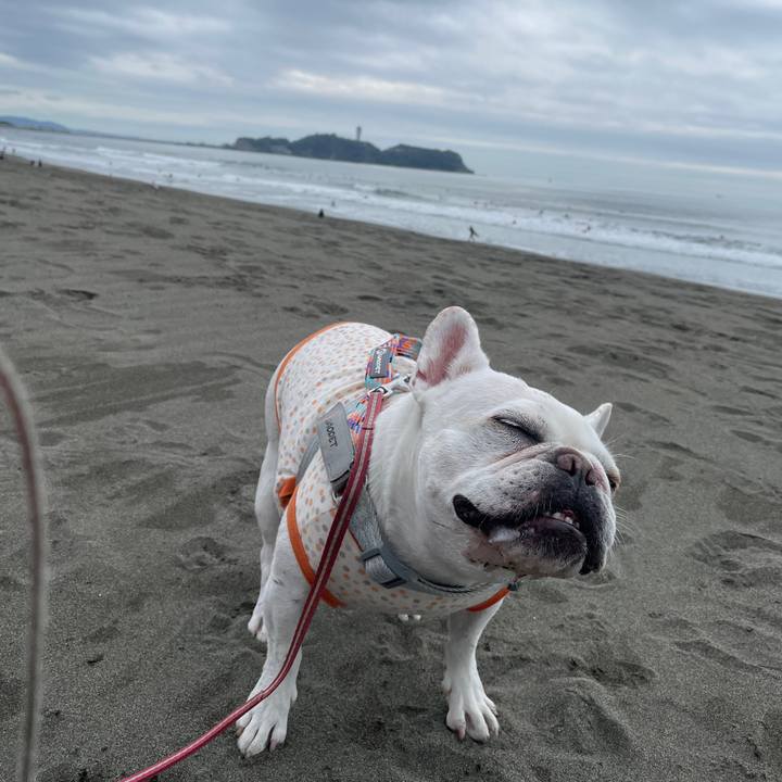 Eacd8036 32e0 4f9b a9d6 82caa80cd4ba 1760233796205