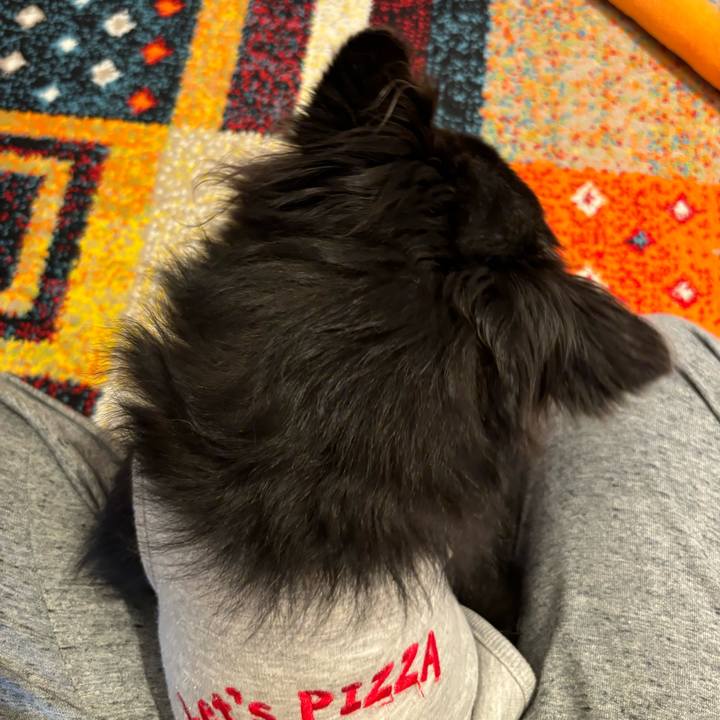 Eacd98d2 271e 46bb b205 ca54010333f9 1729960944369