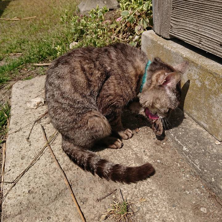 Eacdc787 28b3 4e38 88f9 a0775808c3a9 1556847956871